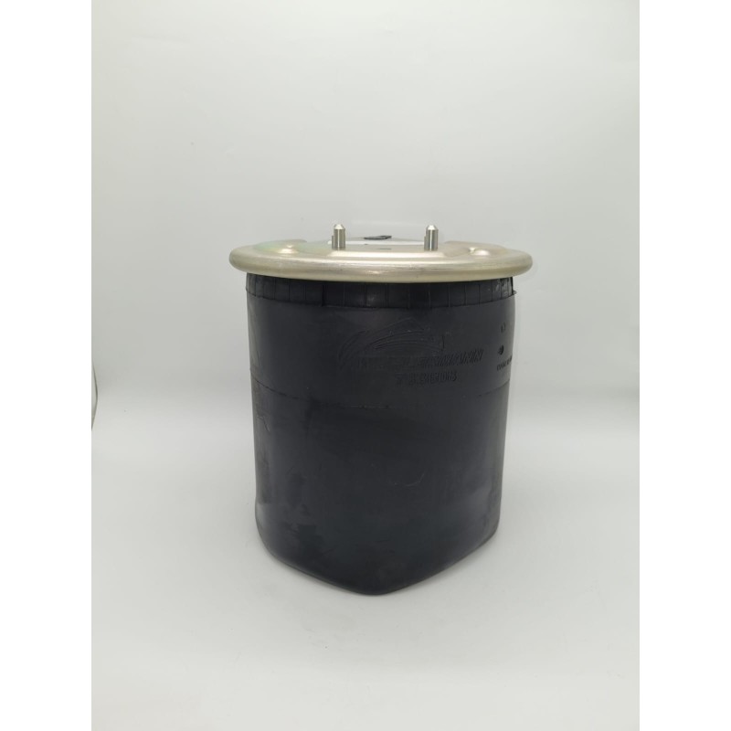 PULMON SUSPENSION SCANIA 6700NP02