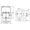 PULMON DE SUSPENSION 44913-C